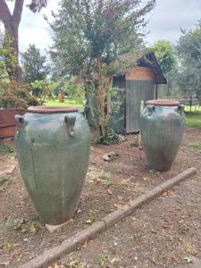 Coppia di Orci in ceramica smaltata verde - H 118 cm